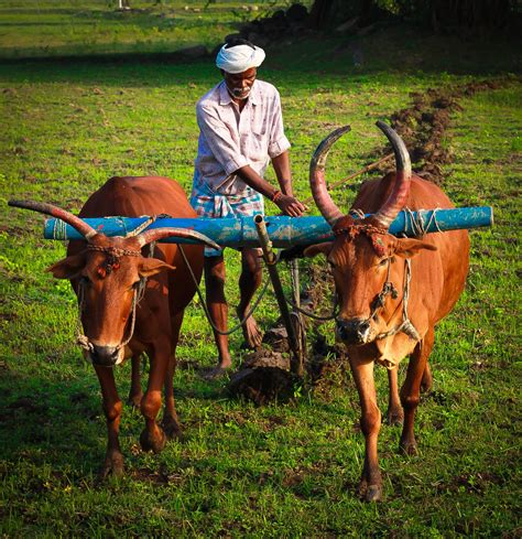 farming pictures|farmer photo gallery.